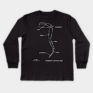 Cockroache leg, labeled, white Kids Long Sleeve T-Shirt